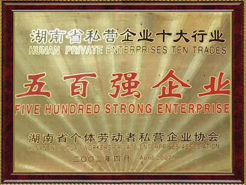 五百強(qiáng)企業(yè) 五百強(qiáng)企業(yè)